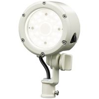 岩崎電気 小型LED投光器 (14W/広角/昼白色/白) E30014W/NSAN9/W 1個（直送品）