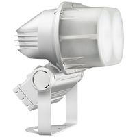 岩崎電気 LED投光器(60Wタイプ/昼白色/中角) E0832N/SAN8/W 1個（直送品）