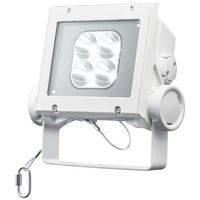 岩崎電気 LED投光器(クラス40 狭角) ECF4040N/NSAN8/W 1個（直送品）
