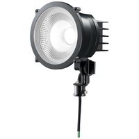 岩崎電気 小形LED投光器(丸形)昼白色タイプ，広角 E30011W/NSAN9/BK 1個（直送品）