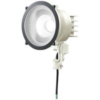 岩崎電気 小形LED投光器(丸形)昼白色タイプ，広角 E30011W/NSAN9/W 1個（直送品）
