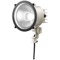 岩崎電気 小形LED投光器(丸形)昼白色タイプ，狭角 E30013N/NSAN9/W 1個（直送品）