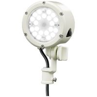 岩崎電気 小型LED投光器 (14W/中角/昼白色/白) E30014M/NSAN9/W 1個（直送品）