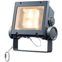dC LED(NX20 Lp) ECF2040W/LSAN8/DG 1iij
