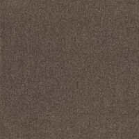  () XNGA2400 \ 10 AbV FF2402 1iij