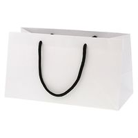 シモジマ 手提げ紙袋 ブライトバッグ 30.5ー14 白(MT) 4901755569575 1箱(10枚入/袋×5袋)（直送品）