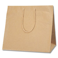 シモジマ 手提げ紙袋 アレンジバッグ L ミザラシ 4901755592801 1箱(10枚入/袋×5袋)（直送品）