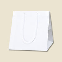 シモジマ 手提げ紙袋 アレンジバッグ S シロ 4901755592023 1箱(10枚入/袋×5袋)（直送品）