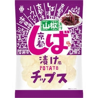 アイデアパッケージ 京都しば漬け風山椒入りポテトチップス 100g x15 4571275155734 1セット(15個)（直送品）