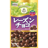 正栄デリシィ 果実Veilレーズンチョコ 41g x12 4580346091024 1セット(12個)（直送品）