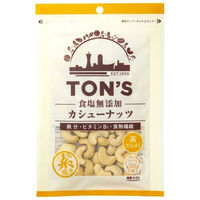 東洋ナッツ食品 食塩無添加カシューナッツ 75g x10 4901998007179 1セット(10個)（直送品）