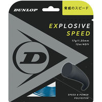 DUNLOP(_bv) ejX dKbg GNXvbVuEXs[h 12m 130 u[ DST11021 1iij