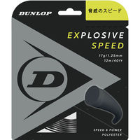 DUNLOP(_bv) ejX dKbg GNXvbVuEXs[h 12m 130 ubN DST11021 1iij