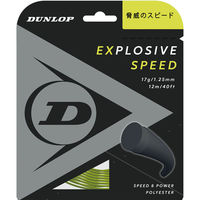 DUNLOP(_bv) ejX dKbg GNXvbVuEXs[h 12m 130 CG[ DST11021 1iij