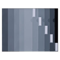 山口工業 インデックス付クリアホルダー 5枚組 YG-05 1パック