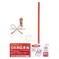 オキナ OA対応多当 B4 祝儀用 T20N 1袋