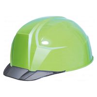 DICプラスチック 軽神 軽量 クリアバイザーヘルメット フレッシュグリーン/スモーク AA23-C(FG/SM) 1個（直送品）