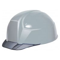 DICプラスチック 軽神 軽量 クリアバイザーヘルメット ライトグレー/スモーク AA23-C(LG/SM) 1個（直送品）