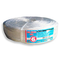 ジェイワークスプランニング PPロープ 5mm×約300m JCM-5300 1巻（直送品）