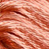 ディー・エム・シー DMC 25番糸 サテン糸 刺繍糸 S352 DMC1008F-S352 1箱/6カセ入（直送品）