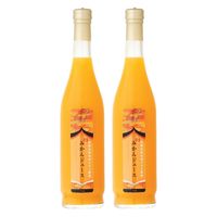 大和 和歌山県産みかんジュース 04172022 1個（直送品）