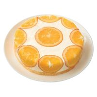 大和 さわやかオレンジレアチーズケーキ 10167335 1個（直送品）