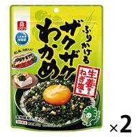 理研ビタミン ふりかけるザクザクわかめ 生姜香るねぎ塩味 50g 1セット（1個×2）ふりかけ