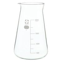 柴田科学 柴田 コニカルビーカー(目安目盛付) 24910706 2L(010050-2000) 1個（直送品）