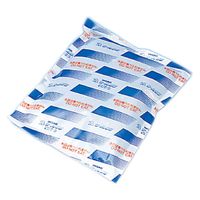 イノアックコーポレーション 蓄冷剤 クールエース 23323202 CA-800(800G) 1個（直送品）