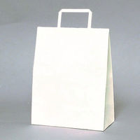 福助工業 紙手提げ袋 ラッピーバッグ S-1 晒無地 00401439 1ケース(300個(50個×6)（直送品）