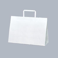 H 񂰑 bs[obO No.3-SS Nn 00559363 1P[X(300(50×6)iij
