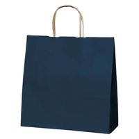 福助工業 紙手提げ袋 ラッピーバッグ No.3 ブルー 丸紐 00754274 1ケース(300個(50個×6)（直送品）