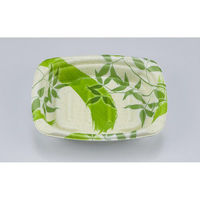 シーピー化成 惣菜容器 TNデリホカ17-13 月竹緑 本体 0250417108805 1ケース(800個(50個×16)（直送品）