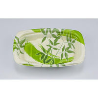 シーピー化成 惣菜容器 TNデリホカ20-13 月竹緑 本体 0250420108805 1ケース(600個(50個×12)（直送品）