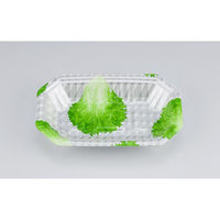 シーピー化成 発泡トレー 新L筏20-12-30 グラSL 0513201247210 1ケース(800個(50個×16)（直送品）