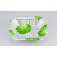 シーピー化成 発泡トレー 新L筏20-15-37 グラSL 0513201567210 1ケース(800個(50個×16)（直送品）