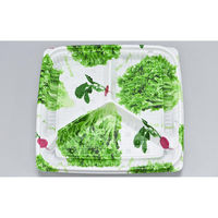 シーピー化成 惣菜容器 BFエコD19-19B-3 サラダ 本体 0751191941895 1ケース(900個(50個×18)（直送品）