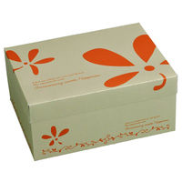 ヤマニパッケージ ケーキ箱 フードサービスシトロン#8 20-2024 1ケース(200個(50個×4)（直送品）