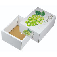 ヤマニパッケージ ギフト箱 もぎたてのぶどうグリーン L-2501 1ケース(40個(10個×4)（直送品）
