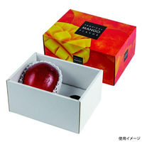 ヤマニパッケージ 贈答箱 トロピカルマンゴー2ヶ L-2483 1ケース(80個(10個×8)（直送品）