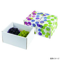ヤマニパッケージ ギフト箱 彩りぶどう小 深 L-2485 1ケース(50個(10個×5)（直送品）