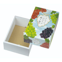 ヤマニパッケージ ギフト箱 フレッシュぶどうの贈り物3kg 深口 L-2518 1ケース(30個(10個×3)（直送品）
