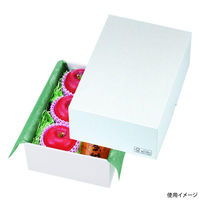 ヤマニパッケージ 贈答箱 パール12 FS LTO-12FS 1ケース(50個(25個×2)（直送品）