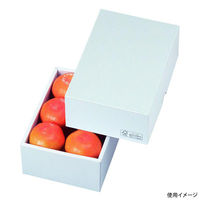 ヤマニパッケージ 贈答箱 パール17 FS LTO-17FS 1ケース(100個(25個×4)（直送品）