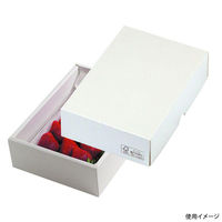 ヤマニパッケージ 贈答箱 パール36 FS LTO-36FS 1ケース(100個(25個×4)（直送品）