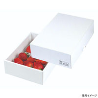 ヤマニパッケージ 贈答箱 パール21 FS LTO-21FS 1ケース(100個(25個×4)（直送品）