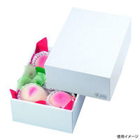 ヤマニパッケージ 贈答箱 パール24 FS LTO-24FS 1ケース(50個(25個×2)（直送品）