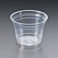 RP東プラ デザートカップ BIP-290(50×20) V220189 1ケース(1000個(50個×20)（直送品）