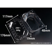 リスパック フルーツ容器 バイオ きらめき 18-12M(60) PBTV513 1袋(50個)（直送品）