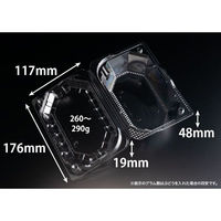 リスパック フルーツ容器 バイオ きらめき 18-12L(60) PBTV533 1袋(50個)（直送品）